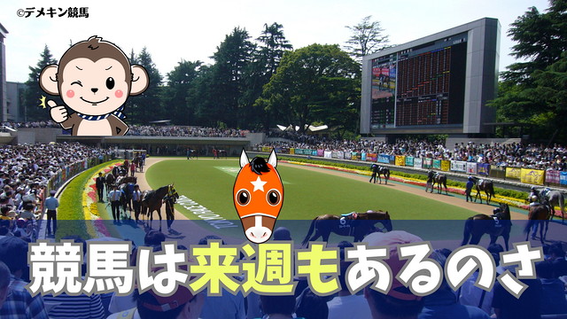 競馬は来週もある