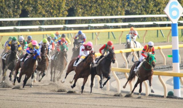 競馬 ダート レース